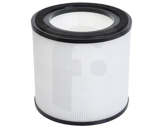 AEG AFFCAR2 Care Air Filter